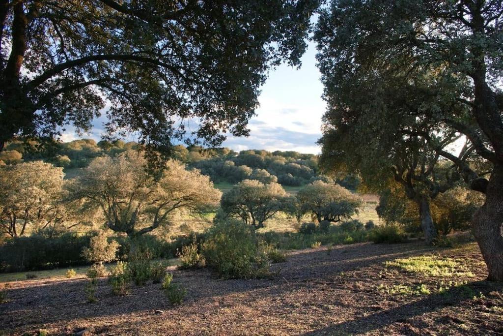 Casa Rural Finca Requejo Cerca De Benavente Tr 49426 Manganeses de la Polvorosa Kültér fotó