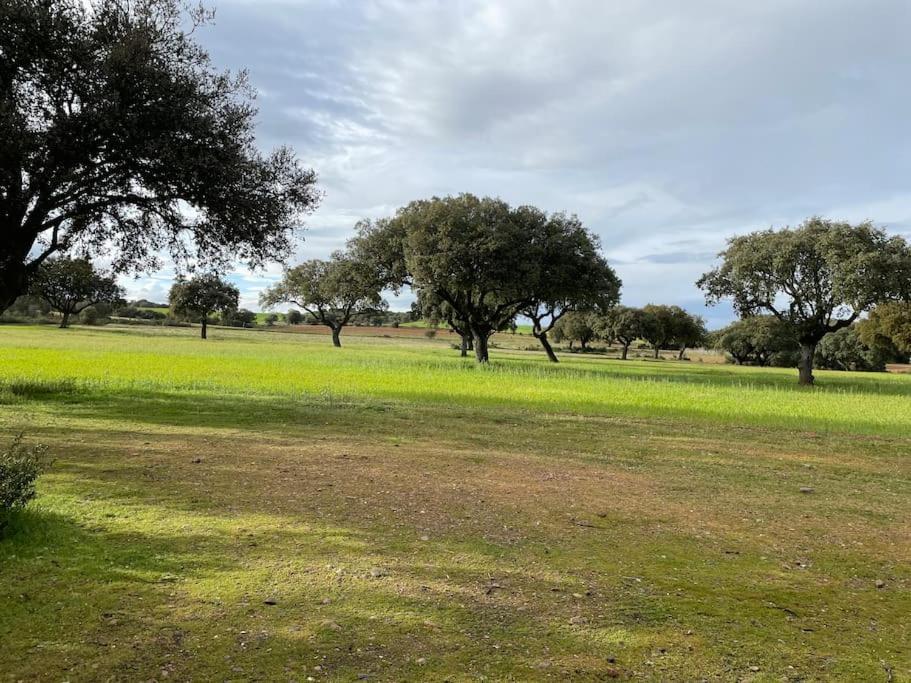 Casa Rural Finca Requejo Cerca De Benavente Tr 49426 Manganeses de la Polvorosa Kültér fotó