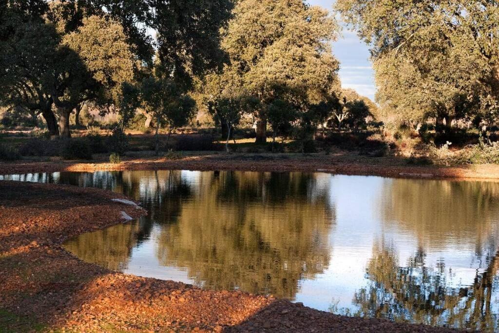 Casa Rural Finca Requejo Cerca De Benavente Tr 49426 Manganeses de la Polvorosa Kültér fotó