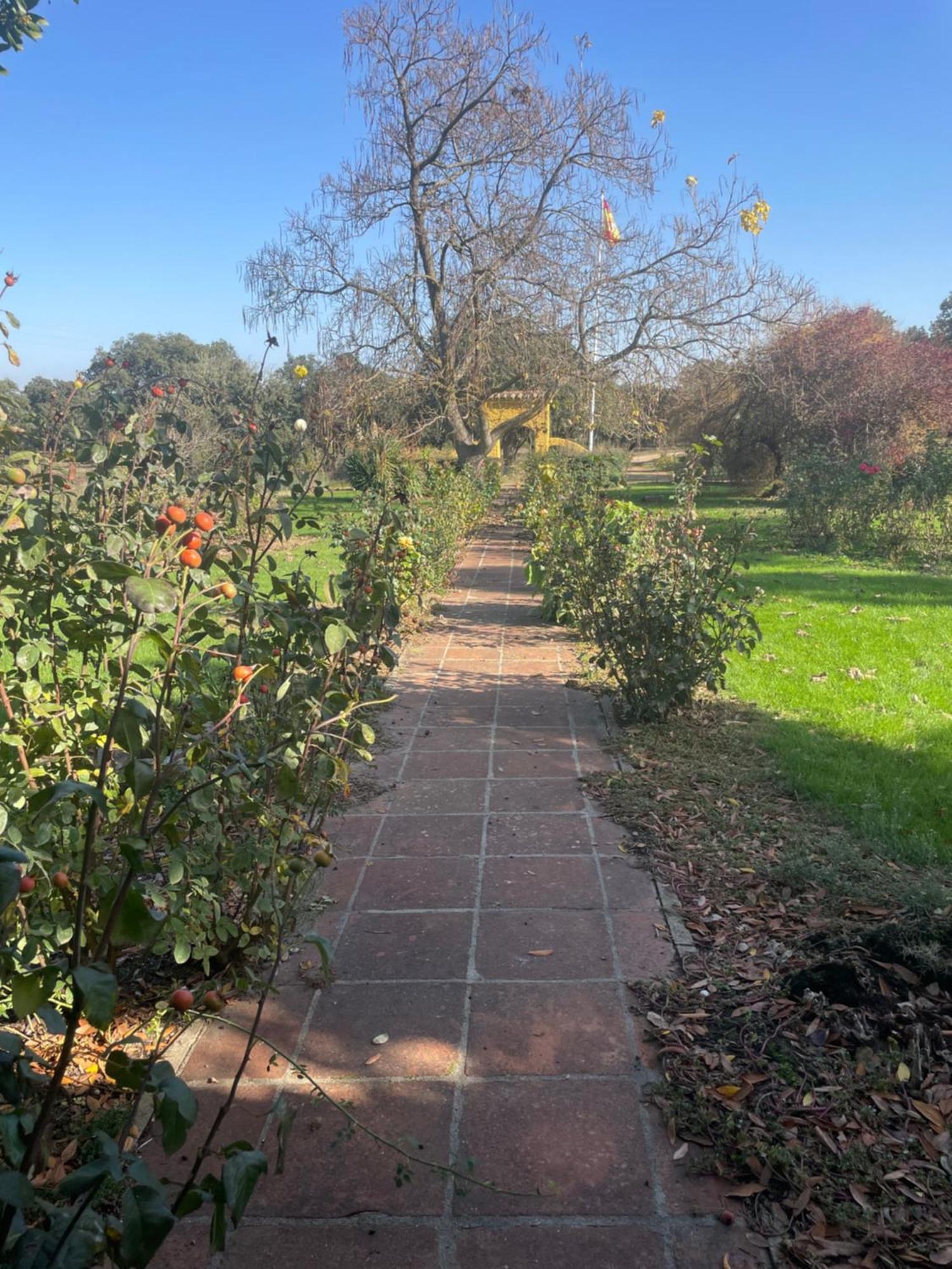 Casa Rural Finca Requejo Cerca De Benavente Tr 49426 Manganeses de la Polvorosa Kültér fotó